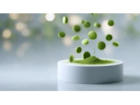 柳州融安特色美食濾粉，你吃過嗎？