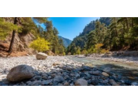 西北大環(huán)線旅游攻略：美景與美食之旅