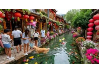 春色滿城：延吉花開萬(wàn)象更新，探秘花海、民俗與美食之旅