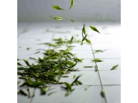 每天一杯普洱茶，身體會收獲哪些驚喜？