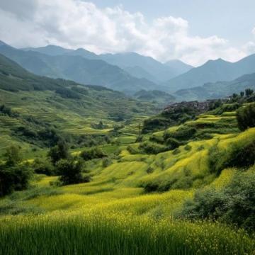 小滿(mǎn)時(shí)節(jié)養(yǎng)生攻略:夏熟作物成熟之際