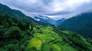 小滿(mǎn)時(shí)節(jié)養(yǎng)生攻略:夏熟作物成熟之際