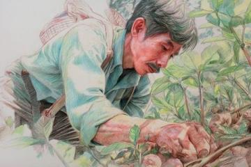 挑選茵陳、摘柳芽、挖薤白的溫馨日常體驗(yàn)最純粹的鄉(xiāng)村生活