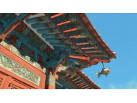 你可能沒(méi)注意到，但故宮的屋頂上為什么幾乎沒(méi)有鳥(niǎo)屎?