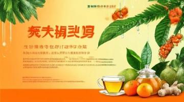 2024新興縣梅花旅游季盛大啟幕，農文旅產業(yè)發(fā)展大會精彩紛呈