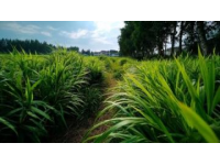 前幾天，我們進(jìn)行了一場(chǎng)說(shuō)走就走的旅行---內(nèi)蒙古4日行