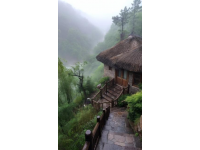 去張家界旅游是跟團(tuán)還是自由行好？張家界有哪些景點(diǎn)？去張家界旅游大概多少預(yù)算？