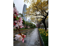 杭州很無(wú)敵的10家??！純自費(fèi)無(wú)廣