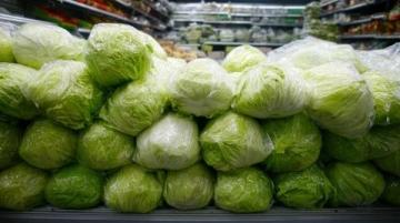 神秘鹵菜店的背后真相：方師傅的驚人秘密曝光了！