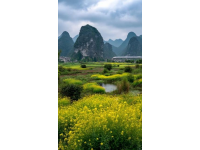 陽(yáng)光下的路程 退休后的我從南方起步, 贛州是我的第一站.