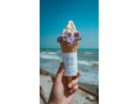 溫州：東南海濱美食城，山海交融味蕾盛宴