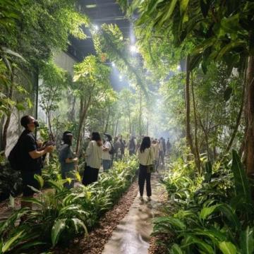廣州增城驚現(xiàn)現(xiàn)實版「莫奈花園」！春日浪漫打卡地被我找到了
