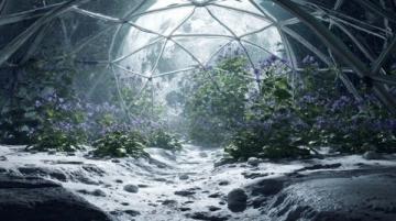 月壤含水與太空種菜：人類未來何去何從？