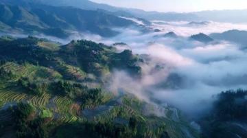 商洛位于陜西省東南部，地處秦嶺腹地，飲食文化融合了陜南農(nóng)家風(fēng)味與南北特色