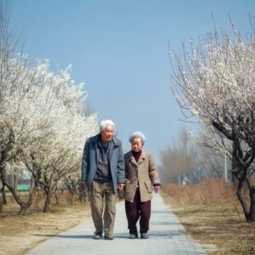 深圳定居適宜老年人嗎？宜居分析及優(yōu)待政策解讀