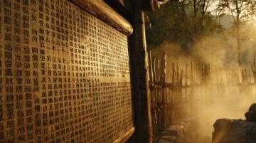 廣西崇左:山鄉(xiāng)艾草香悠悠