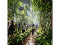 廣州增城驚現(xiàn)現(xiàn)實(shí)版「莫奈花園」！春日浪漫打卡地被我找到了