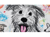 小學(xué)寫動物作文技巧：觀察描繪+生活故事+深層寓意