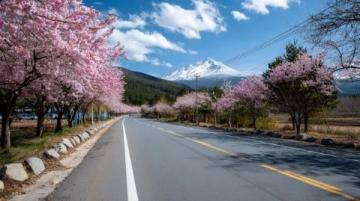 貴定金海雪山花開如畫。
