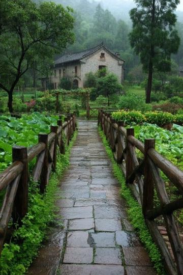 雨水節(jié)氣養(yǎng)生指南:東北地區(qū)適用的中醫(yī)保健策略