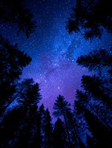 暗香滿天，夜色更深