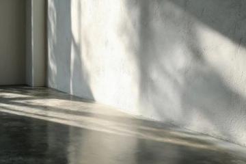 在家如何給兔子洗澡？冷水澡這樣做，兔兔舒服不抗拒！
