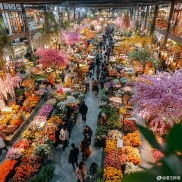 亞明農貿市場：沈陽皇姑區(qū)的繁華記憶與市井生活風情