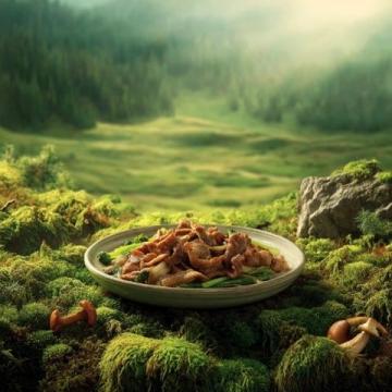 春日美食探秘：伊春風(fēng)情美食之旅
