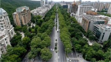 三天佛山行：上海人的驚喜發(fā)現(xiàn)，徹底改觀對廣東的印象