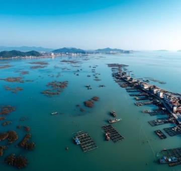 輕松暢游三亞：一日一景，不費(fèi)腦的旅游攻略！