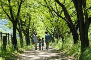 500元環(huán)游東日本！JR東日本平日旅行優(yōu)惠票限時發(fā)售