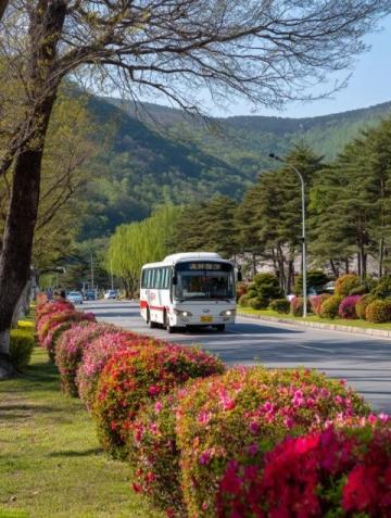 500元環(huán)游東日本！JR東日本平日旅行優(yōu)惠票限時發(fā)售
