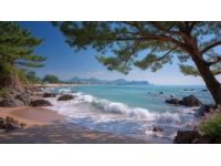 榮成海邊拍照爭議：禁令引發(fā)熱議，平衡旅游管理與公眾權(quán)利成焦點(diǎn)