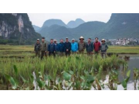 云南元陽(yáng)梯田深度游攻略