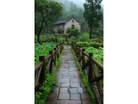 雨水節(jié)氣養(yǎng)生指南：東北地區(qū)適用的中醫(yī)保健策略