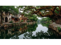 寧波周末暢游指南：探尋精彩景點(diǎn)與活動(dòng)