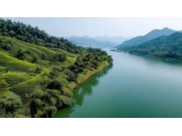 夏日打卡季：探秘華北明珠白洋淀，體驗(yàn)北方水鄉(xiāng)生態(tài)人文之旅