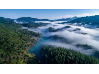 遇見撫仙湖的藍(lán)：澄江旅游攻略