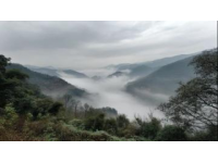 清明假期山城踏青記：十日悠然時光，探訪三潭風景區(qū)美景