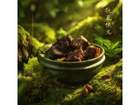 春分食韻：麥黃筋薺菜素餃，香菇松子餡，盡享春之美味