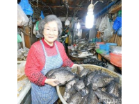 30元一條的無(wú)刺全肉魚(yú)，營(yíng)養(yǎng)豐富補(bǔ)腦佳品最適合孩子吃