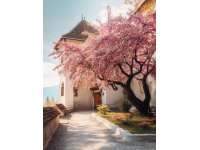 五一旅游攻略：避開(kāi)人流探索隱秘美景