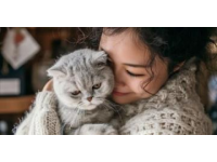 新手養(yǎng)貓必看：確保貓咪健康成長的經(jīng)驗分享