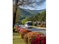 500元環(huán)游東日本！JR東日本平日旅行優(yōu)惠票限時發(fā)售