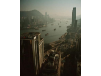 香港鼠患嚴(yán)峻：每捉一只老鼠成本約10880元，引發(fā)熱議