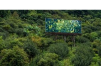 浙西南山區(qū)的詩意棲居地——松陽