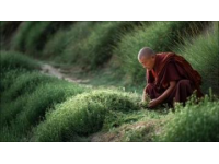 用心做出家的味道
