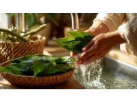 日常五防?。菏植壳鍧崱⑹称钒踩?、室內通風、口罩使用與個人用品衛(wèi)生