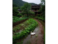 不容錯(cuò)過(guò)的成都周邊熱門(mén)景區(qū)推薦，山水人文之旅從這里開(kāi)始！