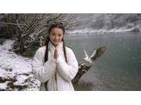 李妹妹蔥油餅逆襲人生，堅韌不屈的傳奇